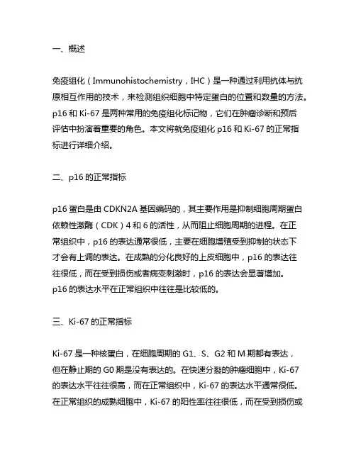 免疫组化p16ki67正常指标