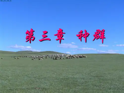 种群的概念
