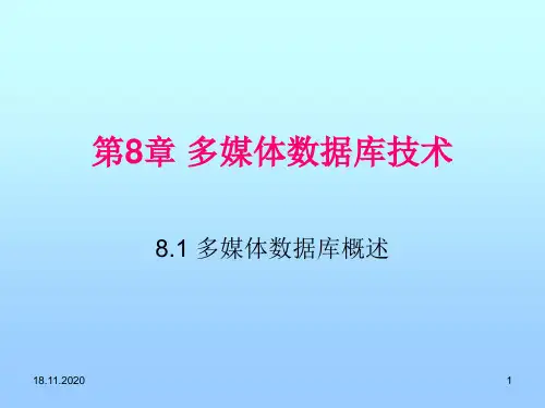 多媒体数据库技术PPT课件