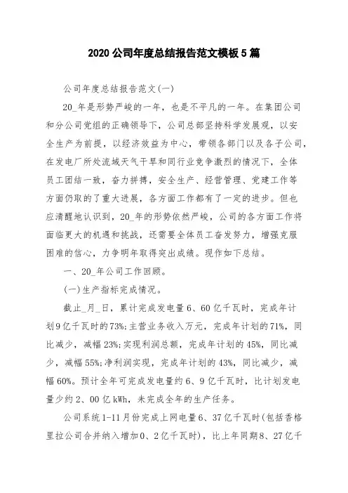 2020公司年度总结报告范文模板5篇