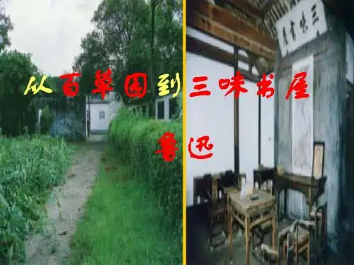 苏教版七年级语文下册5从百草园到三味书屋课件 (共48张PPT)