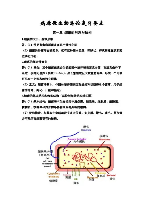 病原微生物总论复习要点