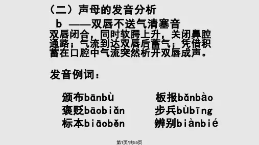汉语拼音发音PPT课件