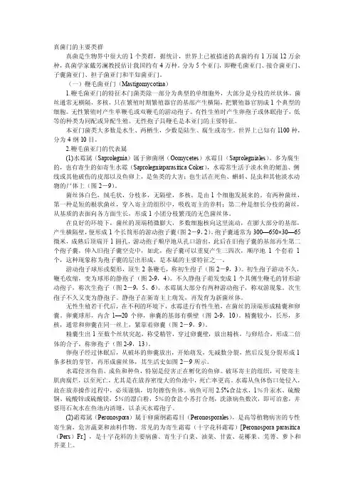 真菌门的主要类群
