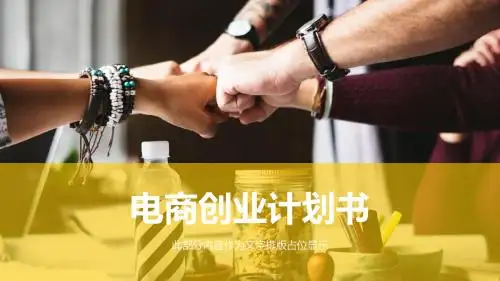 电商创业计划书模板PPT样本