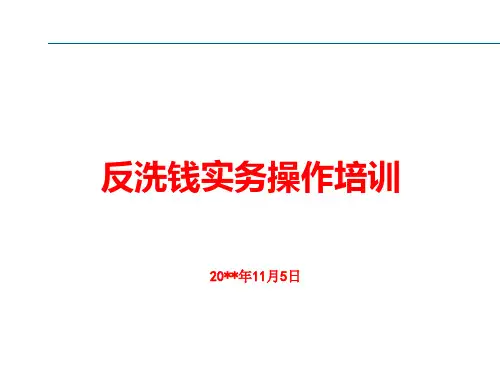 反洗钱实务操作培训(最新-通用-系统)