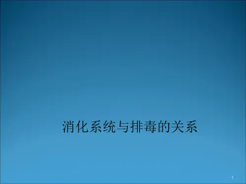 肠道排毒ppt课件