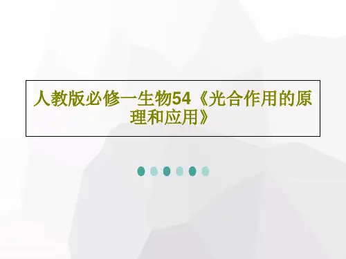 人教版必修一生物54《光合作用的原理和应用》PPT42页