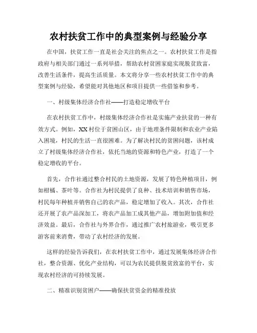 农村扶贫工作中的典型案例与经验分享