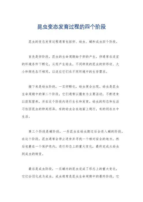 昆虫变态发育过程的四个阶段
