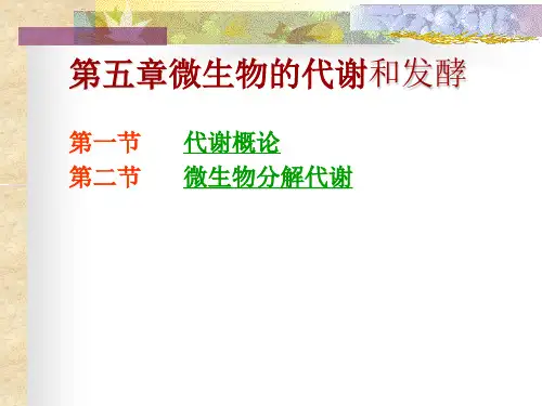 第五章微生物的代谢