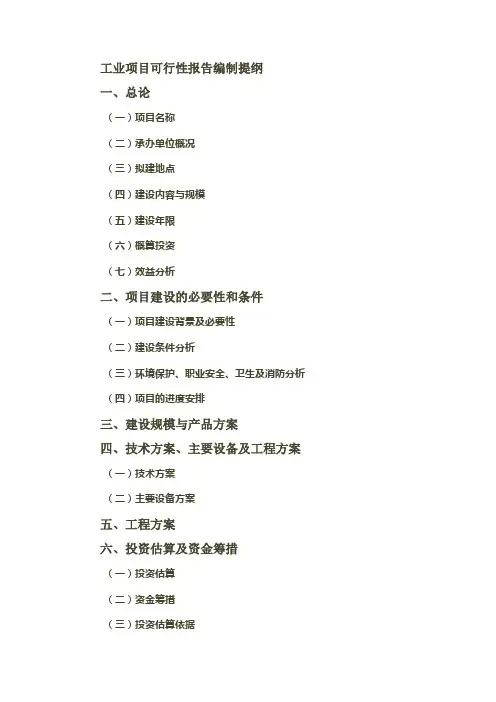 工业项目可行性报告编制提纲