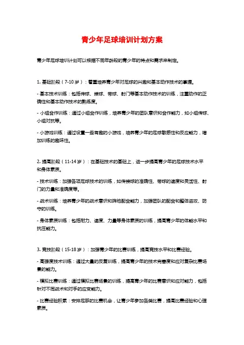 青少年足球培训计划方案