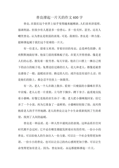 善良撑起一片天的作文600字
