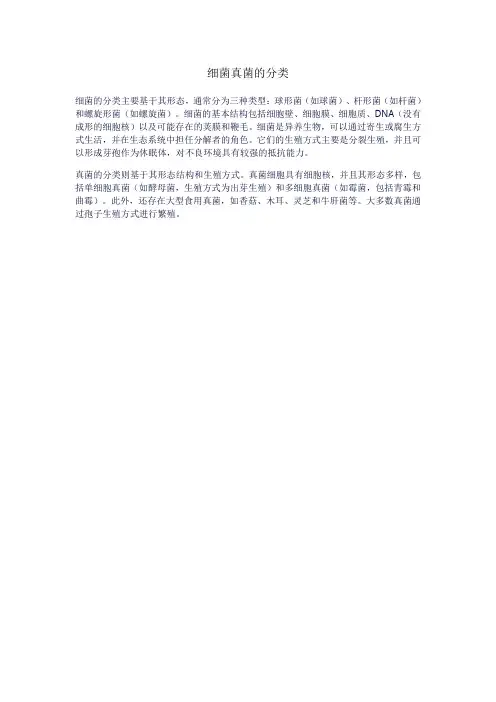 细菌真菌的分类