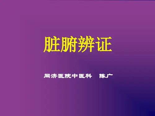 脏腑辨证   中医课件