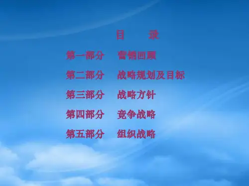 某太阳能营销战略规划