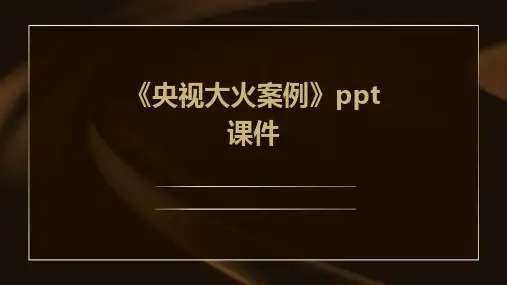 《央视大火案例》课件