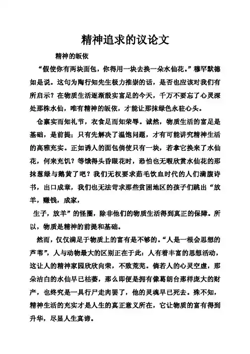 精神追求的议论文