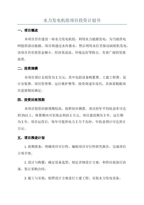 水力发电机组项目投资计划书