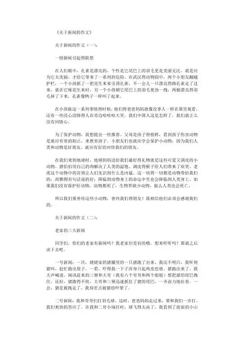 [精选]关于新闻的作文10篇