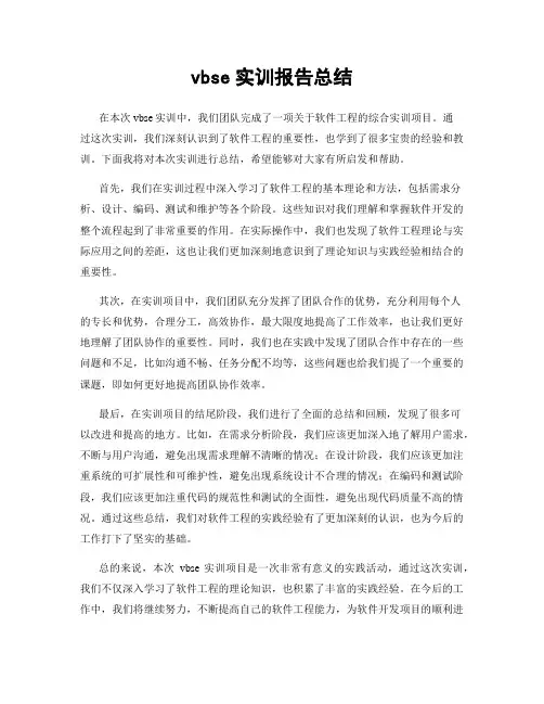 vbse实训报告总结