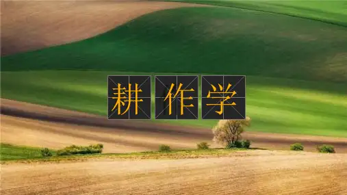 02-作物布局的含义讲义