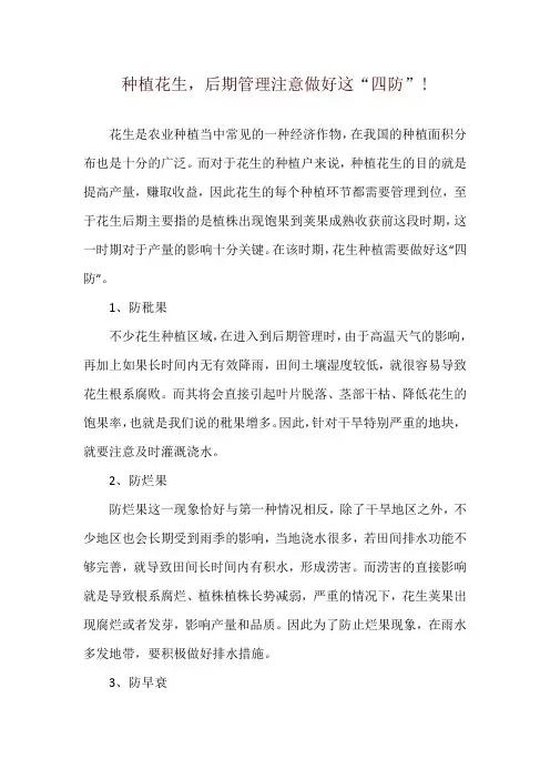 种植花生,后期管理注意做好这“四防”!