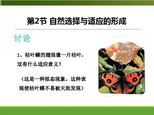 新【人教版材】自然选择与适应的形成上课课件1
