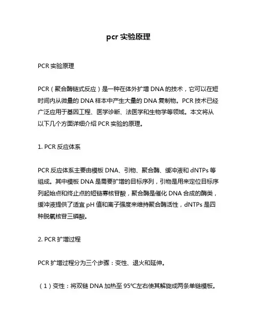 pcr实验原理