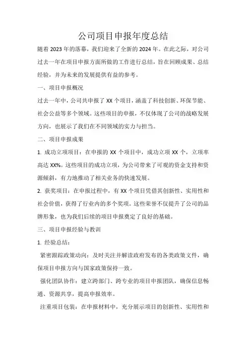 公司项目申报年度总结