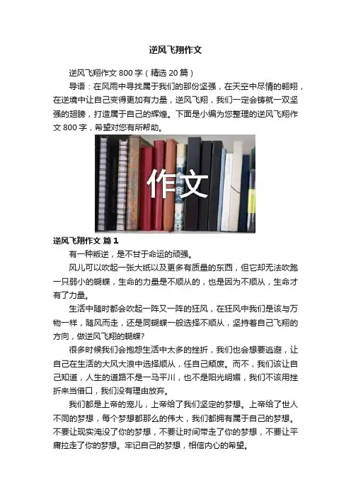 逆风飞翔作文
