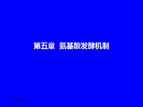 氨基酸发酵机制PPT课件
