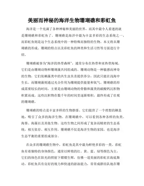 美丽而神秘的海洋生物珊瑚礁和彩虹鱼