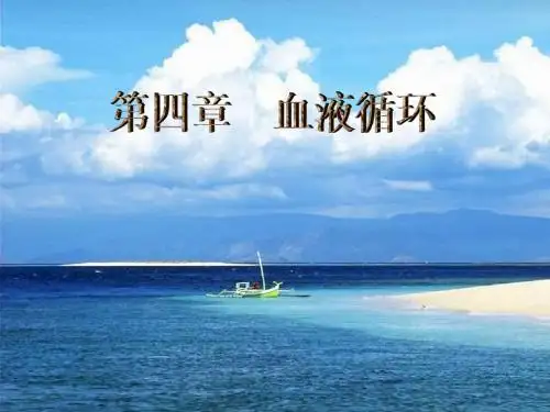 血液循环PPT课件