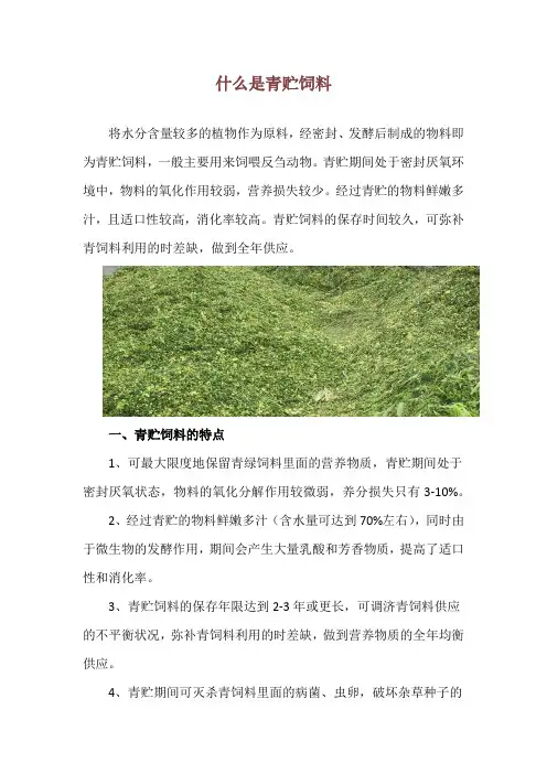 什么是青贮饲料