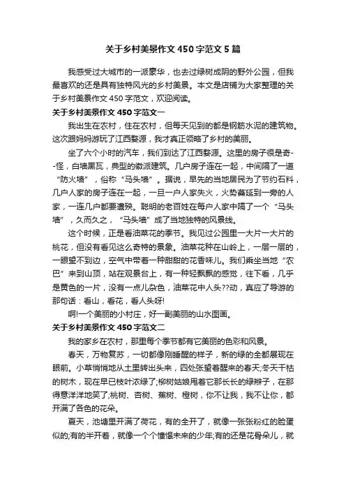 关于乡村美景作文450字范文5篇