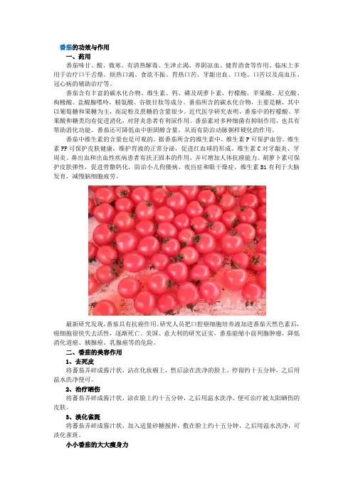 小番茄的功效与作用
