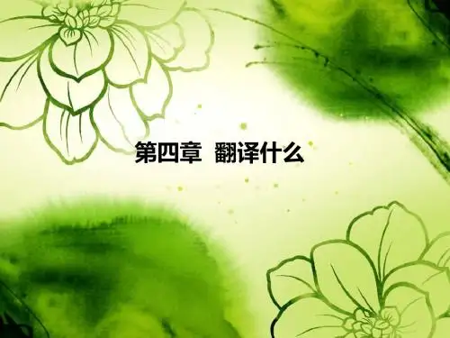 第四章 翻译什么详解