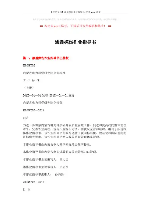 【优质文档】渗透探伤作业指导书-优秀word范文 (19页)