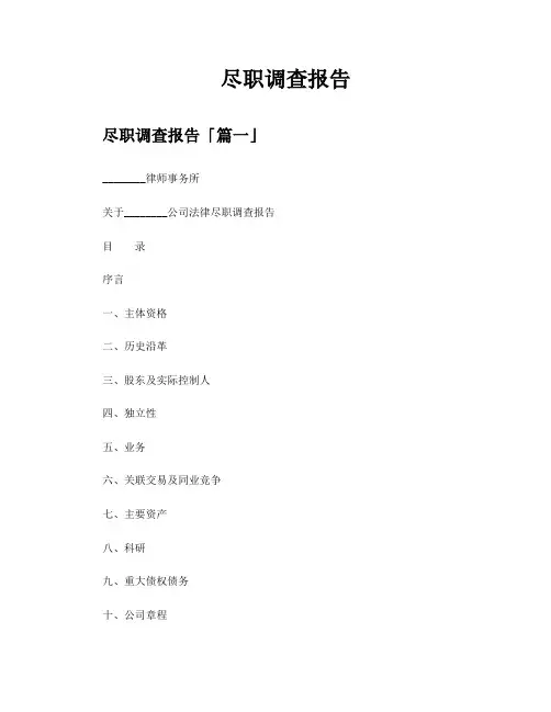 尽职调查报告