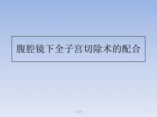 腹腔镜下全子宫切除术的配合 PPT
