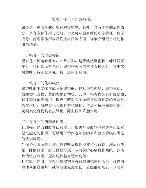 银杏叶作用与功效与作用