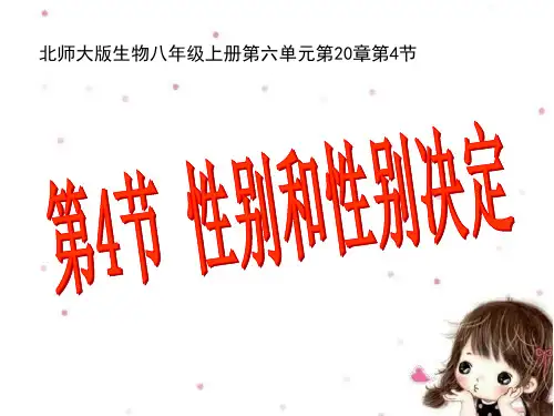 北师大课标版初中生物八年级上册第六单元章第二十章第4节 性别和性别决定(共21张PPT)