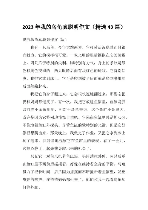 2023年我的乌龟真聪明作文(精选43篇)
