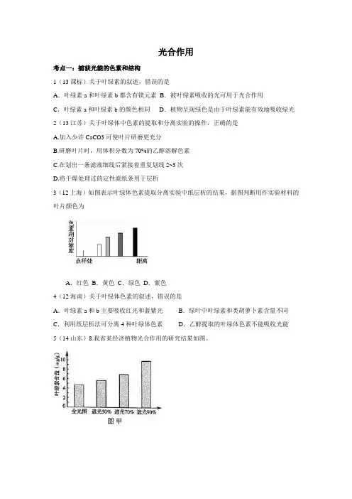 高考真题(近五年)：光合作用