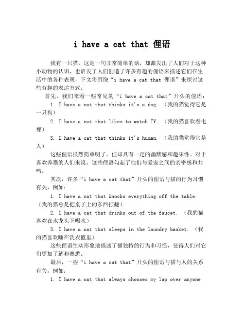 i have a cat that 俚语
