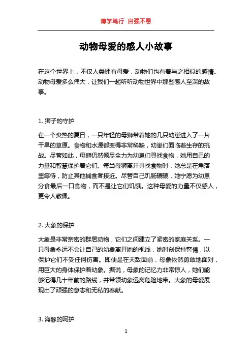 动物母爱的感人小故事