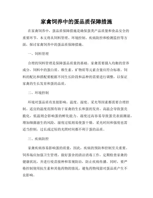 家禽饲养中的蛋品质保障措施
