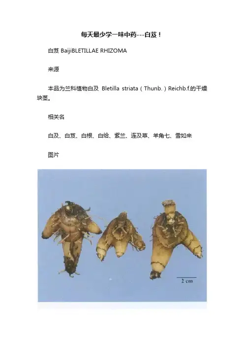 每天最少学一味中药---白芨！